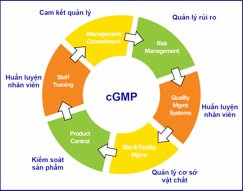 Tiêu chuẩn cGMP